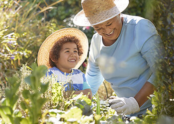 Safety in the Garden