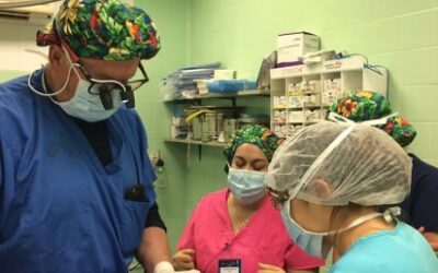 Paraguay, Legacy of Healing